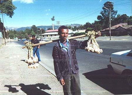 5 Ways to Explore Man on Man Porn