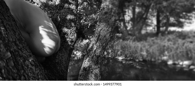 Naked Girl Outdoor Stock Photo Image Of Breast Erotic 83925386